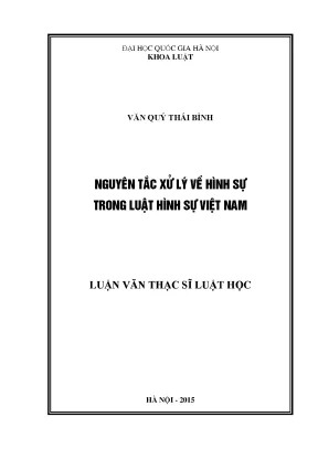 Nguyên Tắc Xử Lý Hình Sự Trong Luật Hình Sự Việt Nam