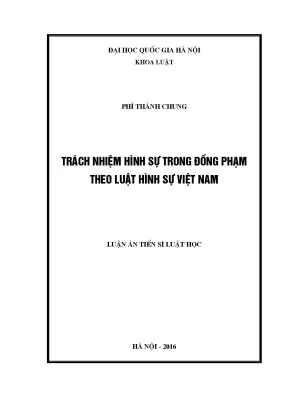 Trách Nhiệm Hình Sự Trong Đồng Phạm Theo Luật Hình Sự