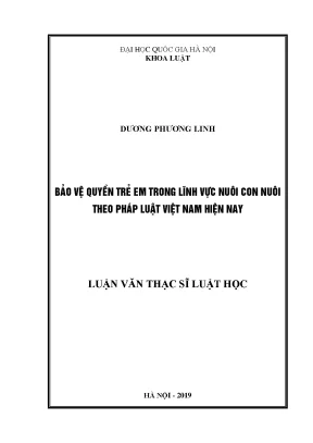 Bảo vệ quyền trẻ em trong nuôi con nuôi theo pháp luật