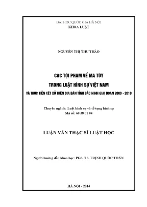 Nghiên cứu tội phạm ma túy trong luật hình sự Việt Nam