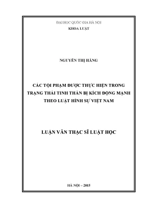 Tội Phạm Trong Tình Trạng Kích Động Mạnh Theo Luật Hình