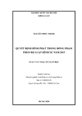 Quyết Định Hình Phạt Trong Đồng Phạm Theo Bộ Luật Hình