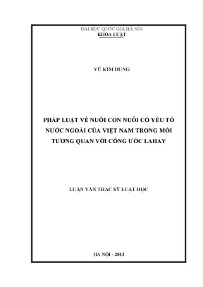 Pháp Luật Việt Nam Về Nuôi Con Nuôi Có Yếu Tố Nước Ngoài