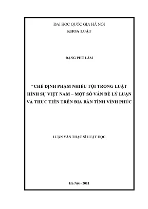 Phạm Nhiều Tội Trong Luật Hình Sự Việt Nam: Vấn Đề Lý