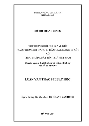Tội Trốn Khỏi Nơi Giam Giữ Theo Pháp Luật Hình Sự Việt Nam