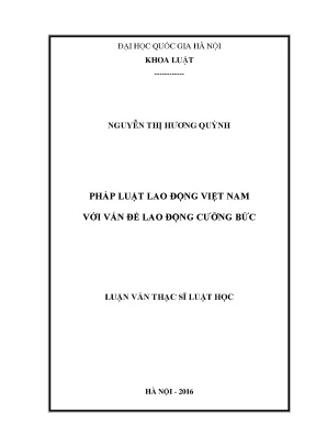 Nghiên cứu về lao động cưỡng bức tại Việt Nam