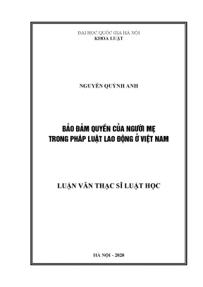 Bảo Đảm Quyền Của Người Mẹ Trong Pháp Luật Lao Động Việt Nam