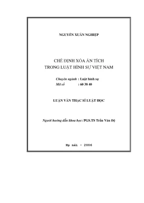 Chế Định Xóa Án Tích Trong Luật Hình Sự Việt Nam: Những