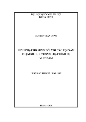 Hình Phạt Bổ Sung Đối Với Tội Xâm Phạm Sở Hữu Trong Luật
