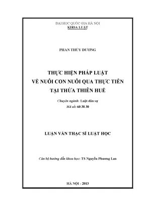 Thực hiện pháp luật nuôi con nuôi tại Thừa Thiên Huế: