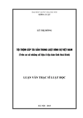Nghiên cứu tội trộm cắp tài sản trong luật hình sự Việt