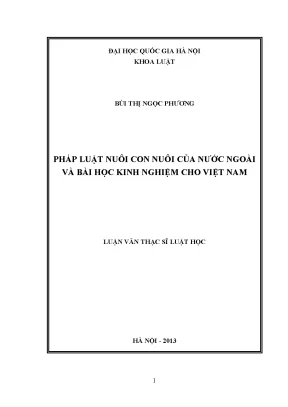 Pháp Luật Nuôi Con Nuôi Có Yếu Tố Nước Ngoài: Kinh
