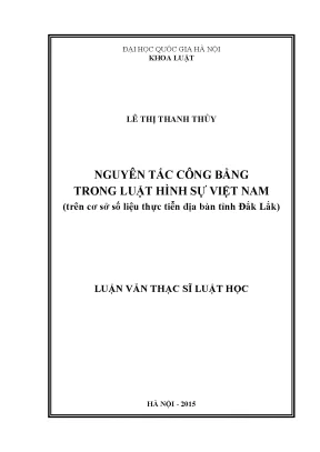 Nguyên Tắc Công Bằng Trong Luật Hình Sự Việt Nam: Nghiên