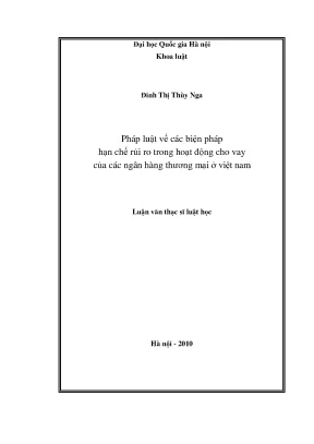Biện Pháp Hạn Chế Rủi Ro Trong Hoạt Động Cho Vay Ngân