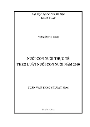 Nghiên cứu về nuôi con nuôi theo luật năm 2010 tại Việt Nam