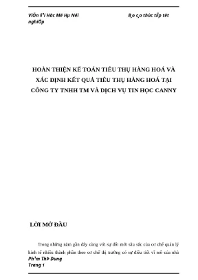 Hoàn thiện kế toán tiêu thụ hàng hóa tại Công ty TNHH TM