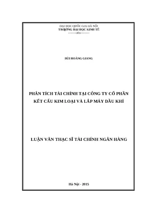 Luận văn thạc sĩ: Phân tích tài chính tại PVC-MS
