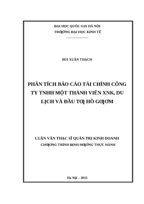 Phân Tích Báo Cáo Tài Chính Công Ty TNHH Một Thành Viên