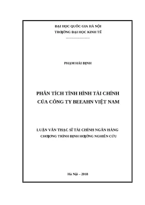Phân Tích Tình Hình Tài Chính Công Ty Beeahn Việt Nam