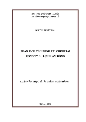 Phân Tích Tình Hình Tài Chính Công Ty Du Lịch Lâm Đồng
