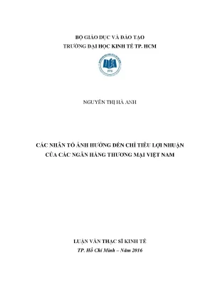 Các Nhân Tố Ảnh Hưởng Đến Lợi Nhuận Của Ngân Hàng Thương
