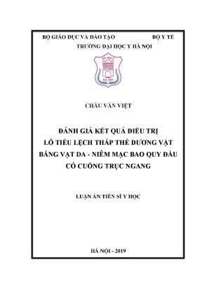 Đánh Giá Kết Quả Phẫu Thuật Tạo Hình Niệu Đạo Điều Trị 
