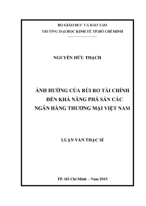 Rủi ro tài chính và khả năng phá sản ngân hàng Việt Nam