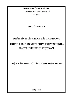 Phân Tích Tình Hình Tài Chính Trung Tâm Sản Xuất Phim