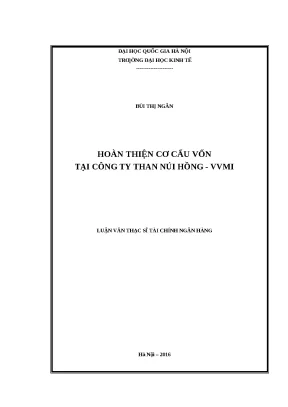 Hoàn thiện cơ cấu vốn tại Công ty Than Núi Hồng - VVMI