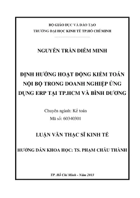 Định Hướng Kiểm Toán Nội Bộ Trong Doanh Nghiệp Ứng Dụng 