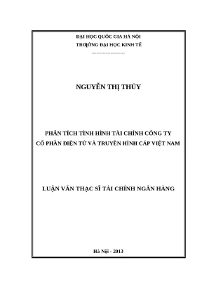 Phân Tích Tình Hình Tài Chính Công Ty Cổ Phần Điện Tử và