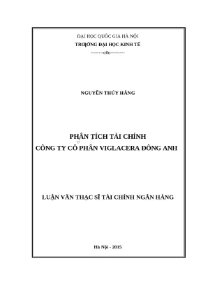 Phân Tích Tài Chính Công Ty Cổ Phần Viglacera Đông Anh