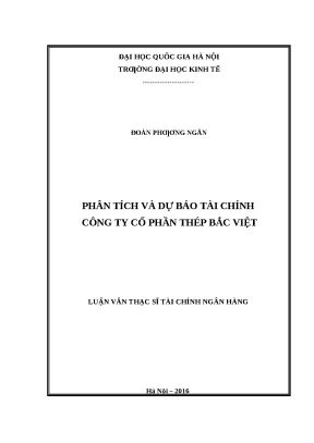 Luận văn: Phân tích tài chính công ty Thép Bắc Việt