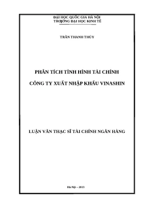 Phân Tích Tình Hình Tài Chính Công Ty Xuất Nhập Khẩu