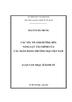 Năng lực tài chính NHTM Việt Nam: Luận văn thạc sĩ UEH