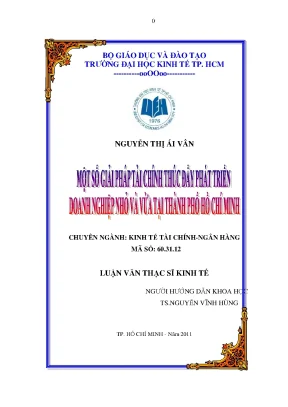 Luận văn: Giải pháp tài chính cho DNNVV tại TPHCM