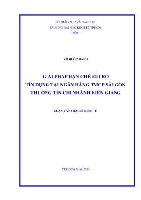 Giải Pháp Hạn Chế Rủi Ro Tín Dụng Tại Ngân Hàng Thương