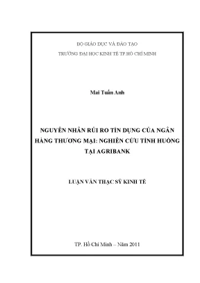 Nguyên Nhân Rủi Ro Tín Dụng Tại Agribank: Nghiên Cứu