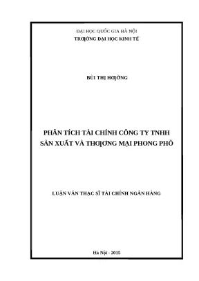 Phân Tích Tài Chính Công Ty TNHH Sản Xuất và Thương Mại