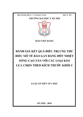 Đánh Giá Hiệu Quả Điều Trị Ung Thư Gan Bằng Đốt Nhiệt 