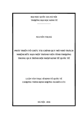 Phát Triển Tổ Chức Tài Chính Quy Mô Nhỏ Tình Thương