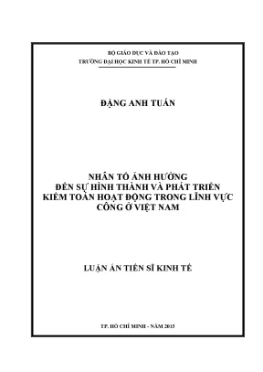 Nhân Tố Ảnh Hưởng Đến Kiểm Toán Hoạt Động Trong Lĩnh Vực