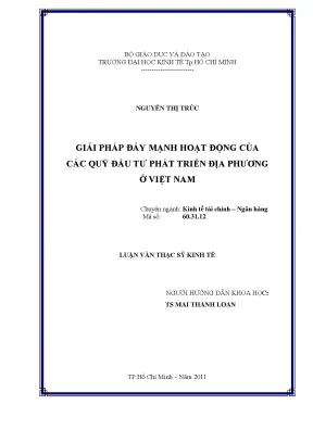 Giải pháp cho Quỹ đầu tư phát triển địa phương Việt Nam