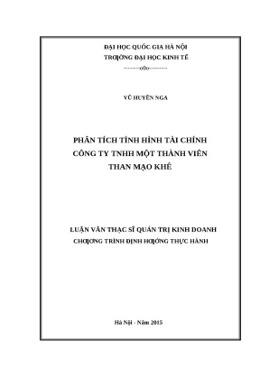 Phân Tích Tình Hình Tài Chính Công Ty TNHH Một Thành