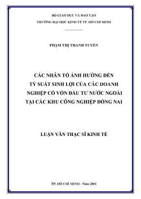 Những Nhân Tố Ảnh Hưởng Đến Tỷ Suất Sinh Lợi Của Doanh