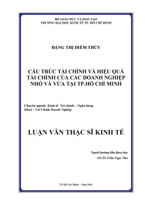 Cấu Trúc Tài Chính và Hiệu Quả Tài Chính Doanh Nghiệp
