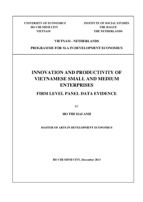 Luận văn thạc sĩ: Đổi mới và năng suất SME Việt Nam