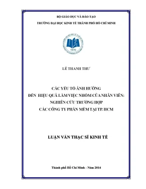 Luận văn: Hiệu quả làm việc nhóm công ty phần mềm TP.HCM