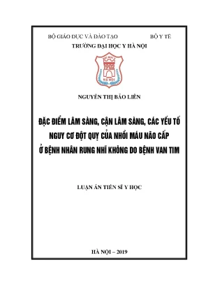 Đột quỵ nhồi máu não cấp ở bệnh nhân rung nhĩ: Đặc điểm 