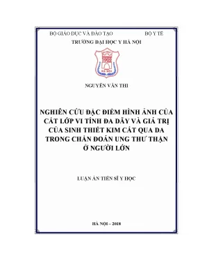 Nghiên cứu hình ảnh cắt lớp vi tính và giá trị sinh 